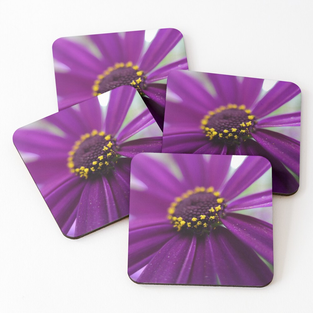 Item preview, Coasters (Set of 4) designed and sold by Rimscollection.