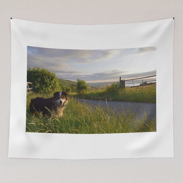 Item preview, Wandering Free designed and sold by Michael Haslam.