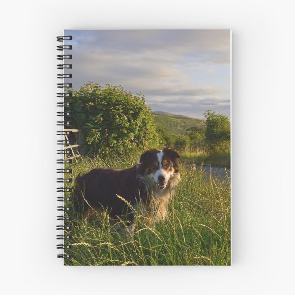 Item preview, Wandering Free designed and sold by Michael Haslam.