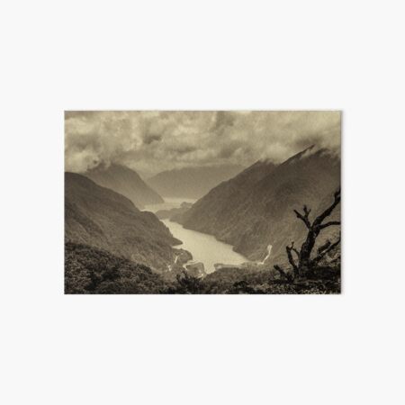 Fiordland (s) Art Board Print