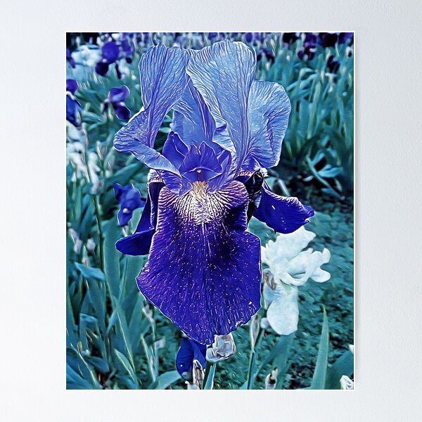 Item preview, Pretty violet irises designed and sold by helenkaiy.
