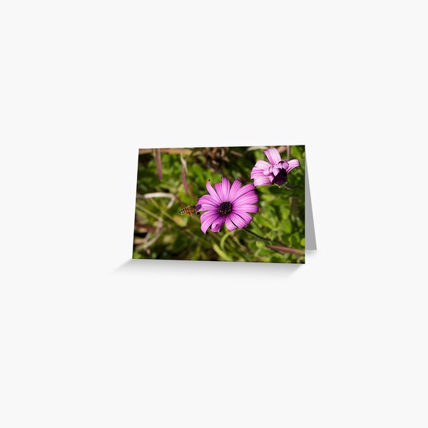 FLOWER BEE Greeting Card