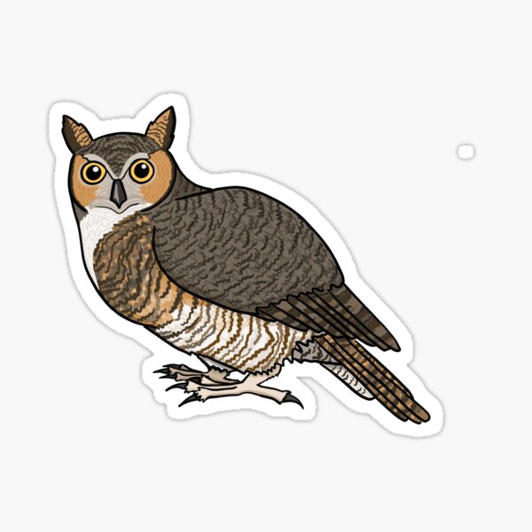 Great Horned Owl Cartoon | ubicaciondepersonas.cdmx.gob.mx