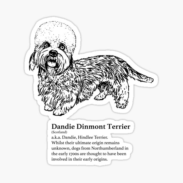 Dandie Dinmont Terrier Sticker