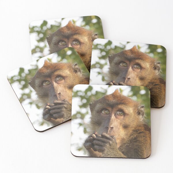 Item preview, Crab-eating Macaque designed and sold by Linda Walsh.