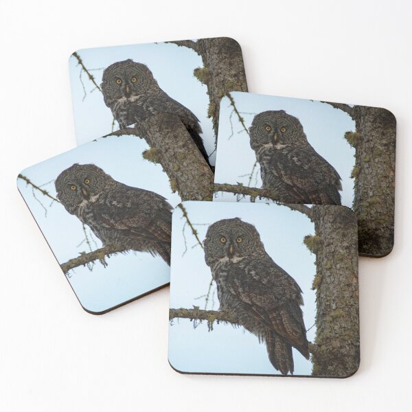 Item preview, Great Grey Owl designed and sold by StevenElliot.