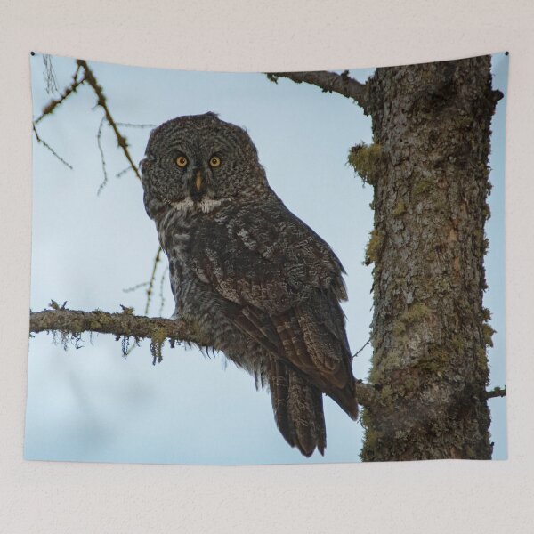 Item preview, Great Grey Owl designed and sold by StevenElliot.