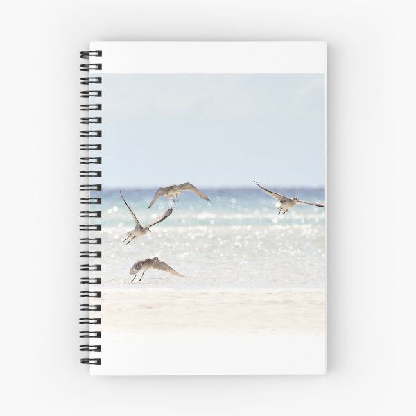 Item preview, Flight Of The Curlew designed and sold by Oceansoul  Photografix - Susie Thomspon.
