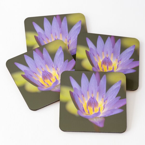 Item preview, Nymphaea Water Lily Pad designed and sold by StevenElliot.
