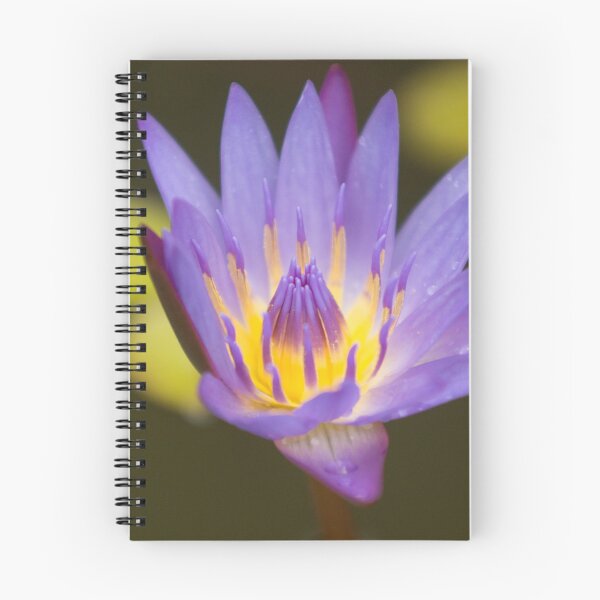 Item preview, Nymphaea Water Lily Pad designed and sold by StevenElliot.