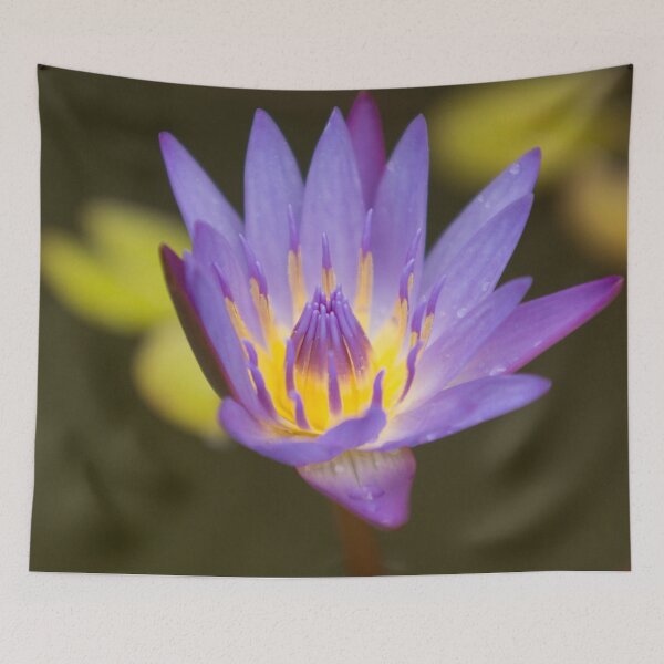 Item preview, Nymphaea Water Lily Pad designed and sold by StevenElliot.