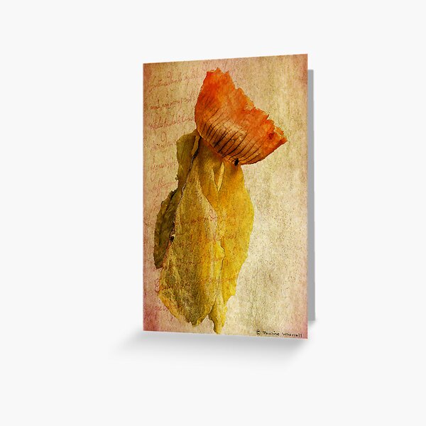 Still beautiful Greeting Card