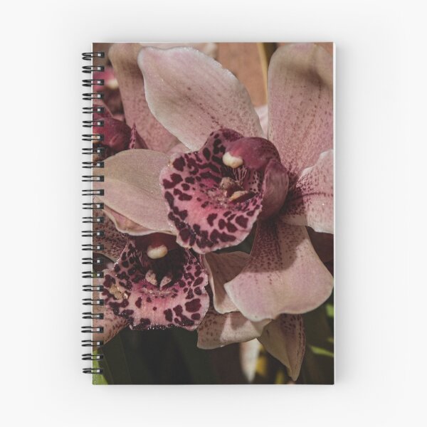 Item preview, Orchid Leith Park Victoria 20150919 0380   designed and sold by Fred Mitchell.