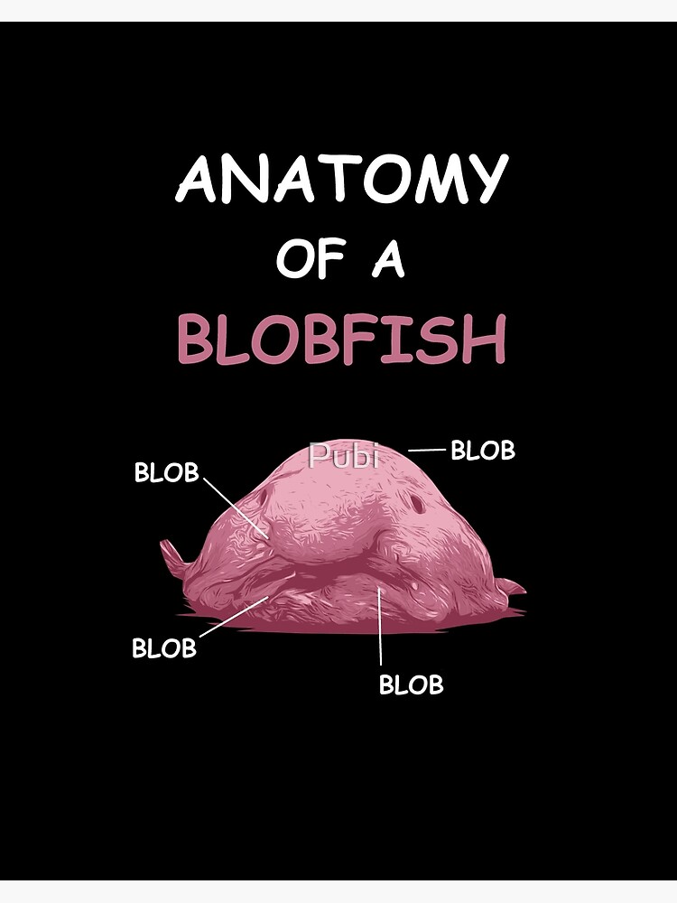 The myth of the ugly blobfish