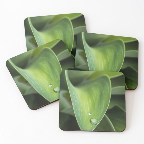 Item preview, Agave after the rain designed and sold by Brent Randall.