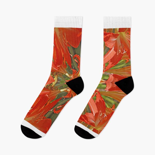 Item preview, Celebrate The Moment designed and sold by Sol Lucas.