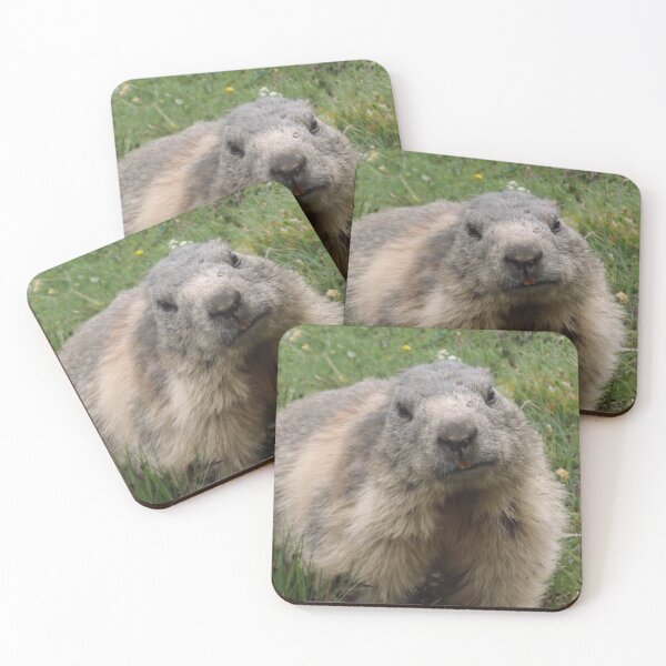 Item preview, Marmot on a Swiss mountain designed and sold by Keithydee.