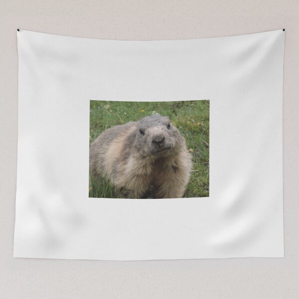 Item preview, Marmot on a Swiss mountain designed and sold by Keithydee.