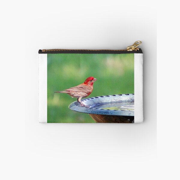 Item preview, Colorful Finch designed and sold by ArkansasLisa.