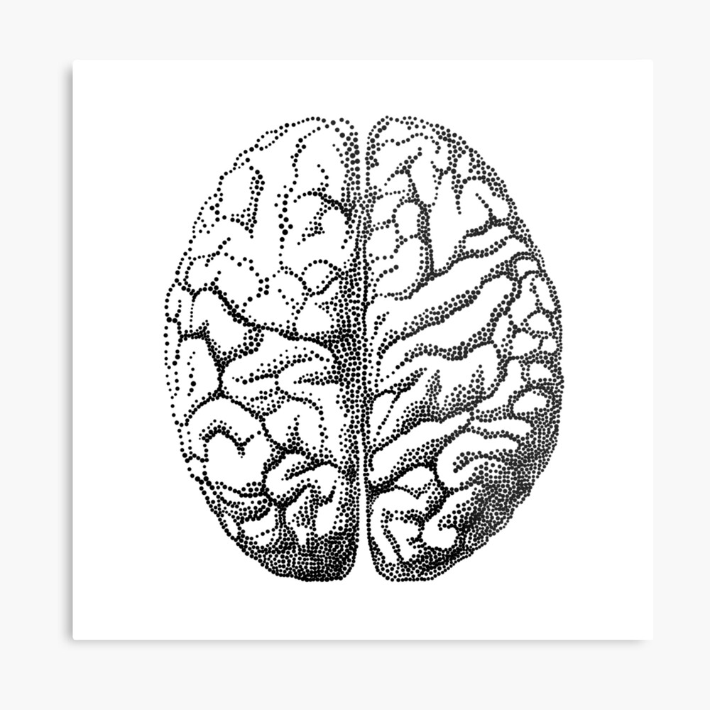 Brain Vector Design. Realistic Anatomy Pictures. Human Body Internal Organs  Stock Vector - Illustration of body, care: 208304816