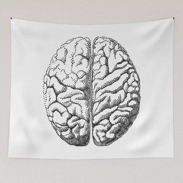 Item preview, Human brain anatomy designed and sold by beakraus.