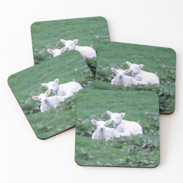 Item preview, Lambs in a Lakeland field designed and sold by Keithydee.