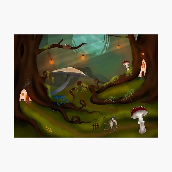 Lost Forest Photographic Print