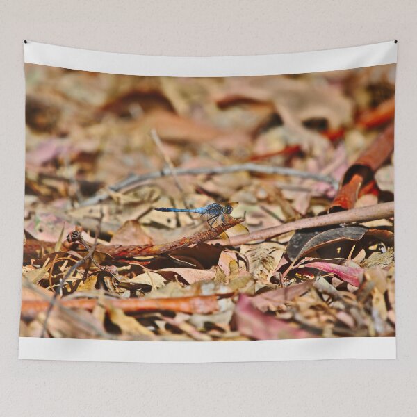 Item preview, A Blue Dragonfly In The Leaf Litter designed and sold by Jason Gilbert.