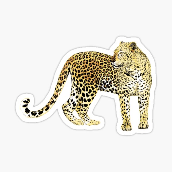 African Leopard dress Sticker