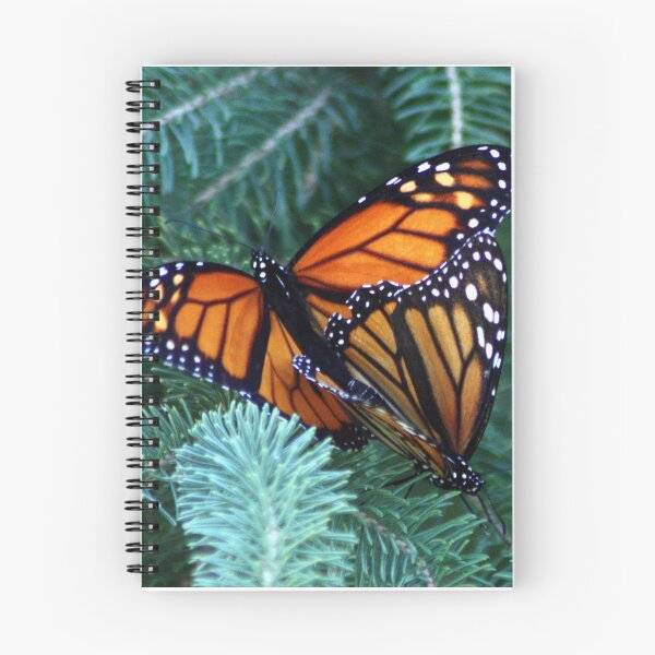 Item preview, Monarch's Breeding designed and sold by Johnny Furlotte.