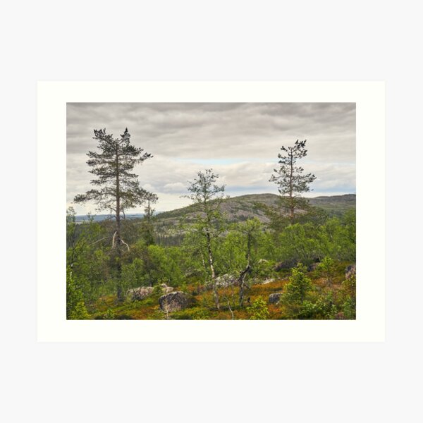 A view to north from Pyha Nattanen Art Print
