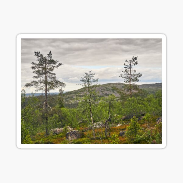 A view to north from Pyha Nattanen Sticker