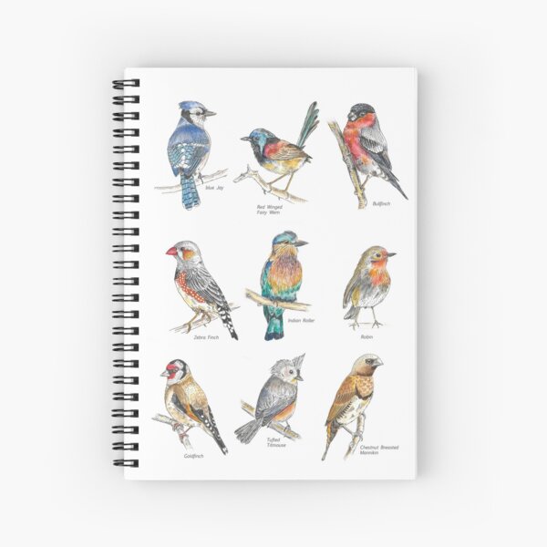 Item preview, birds illustration, A3 poster, 9 birds, sketch, watercolours, pen designed and sold by magental.