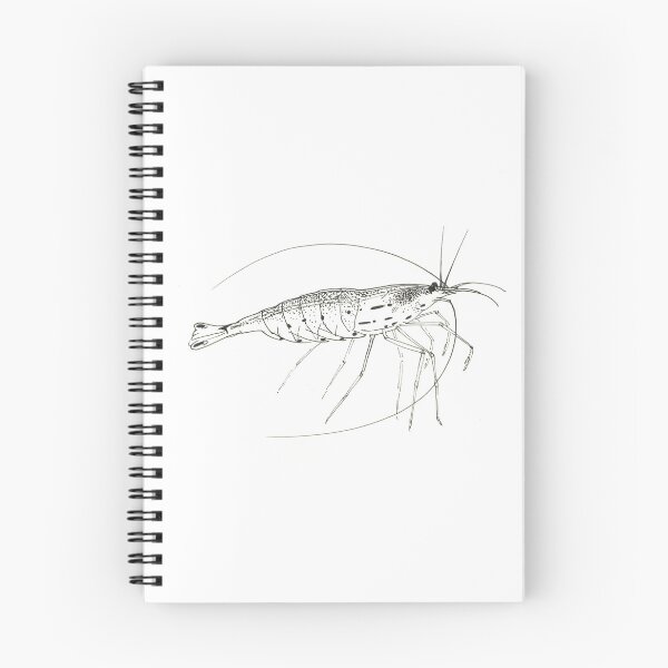 Artikelvorschau, Amano Shrimp entworfen und verkauft von Antonina Sotnikova.