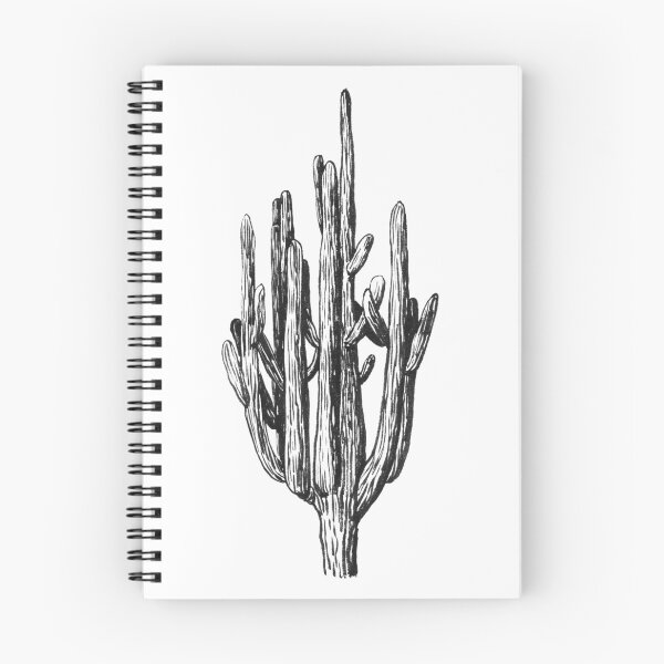 Item preview, Cactus. Black ink botanical illustration. designed and sold by Antonina Sotnikova.