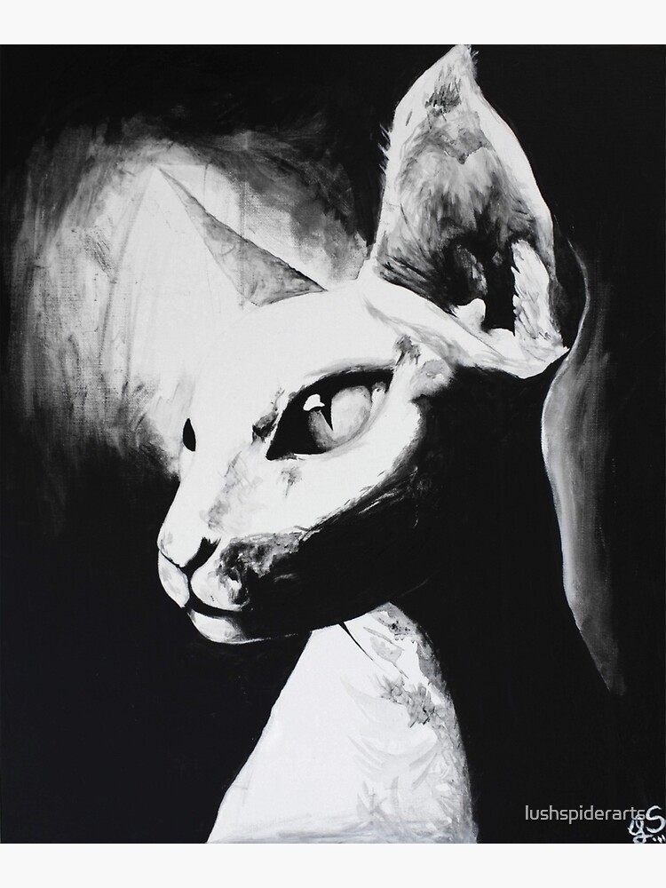 ARTCANVAS Sphynx Cat Breed sold White Canvas Art Print