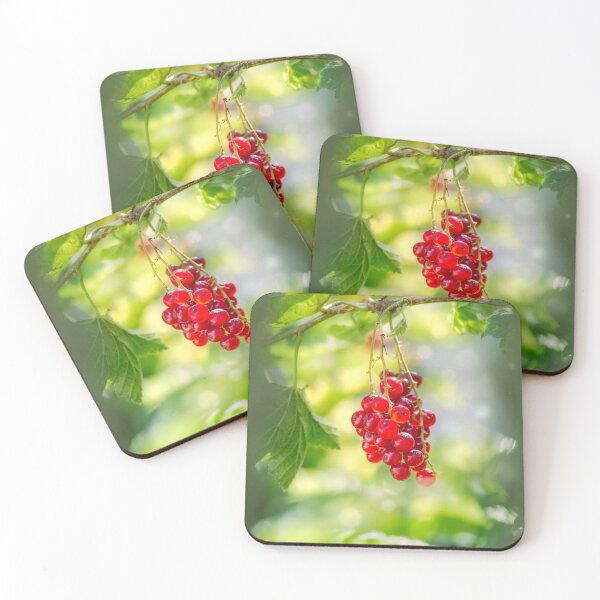 Item preview, Red currant bunch designed and sold by Svetlana Korneliuk.