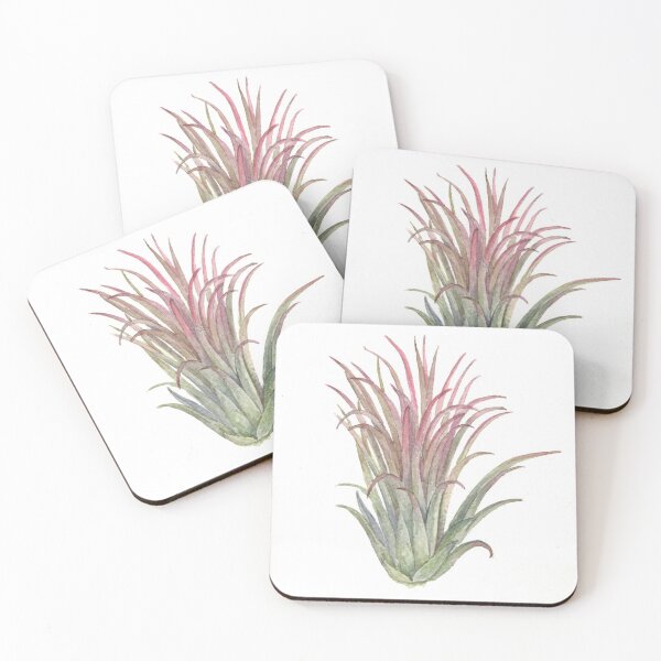 Item preview, Tillandsia. Airplant designed and sold by Antonina Sotnikova.