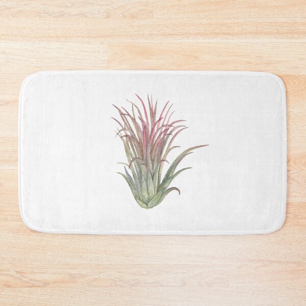 Item preview, Tillandsia. Airplant designed and sold by Antonina Sotnikova.