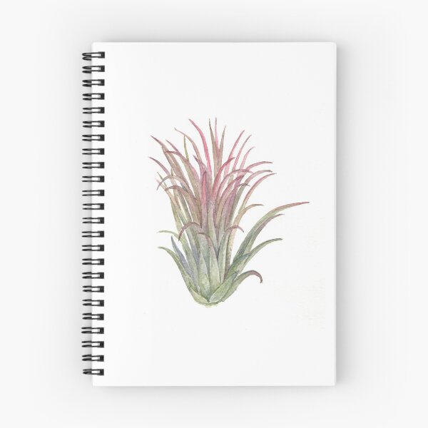 Item preview, Tillandsia. Airplant designed and sold by Antonina Sotnikova.