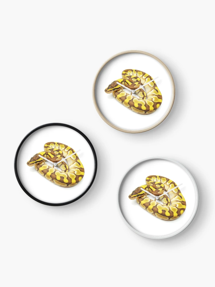 Thumbnail 3 of 4, Clock, Ball python Enchi Lesser designed and sold by BDesignerMorphs.