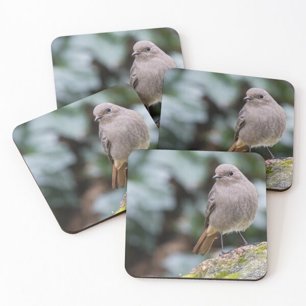 Item preview, Black Redstart designed and sold by LaurenTucker.
