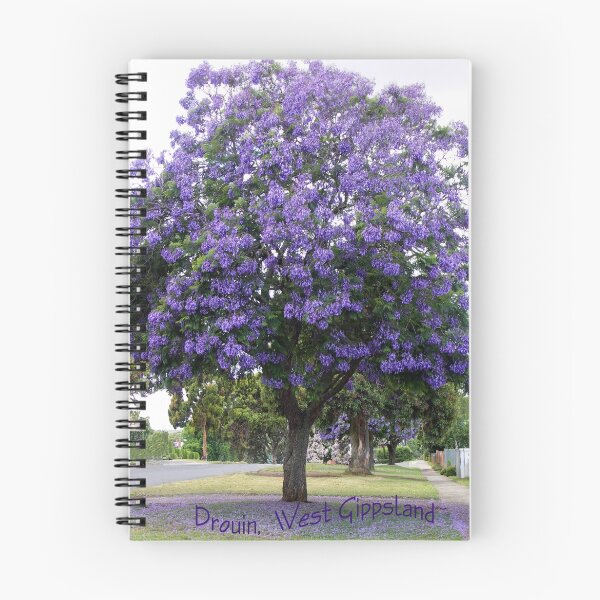 Item preview, Jacaranda, Princes Way Drouin designed and sold by Bev Pascoe.