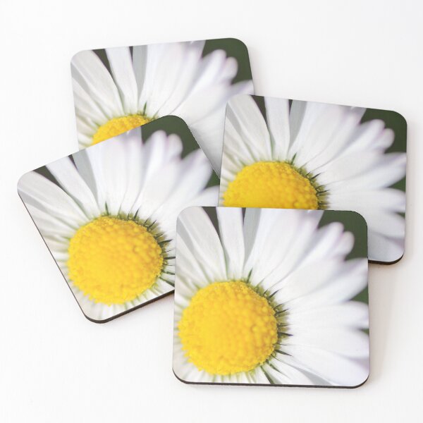 Item preview, Slightly cropped white daisy designed and sold by Grégory DUBUS.