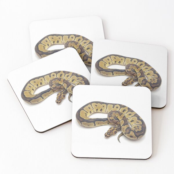 Item preview, Clown ball python designed and sold by BDesignerMorphs.