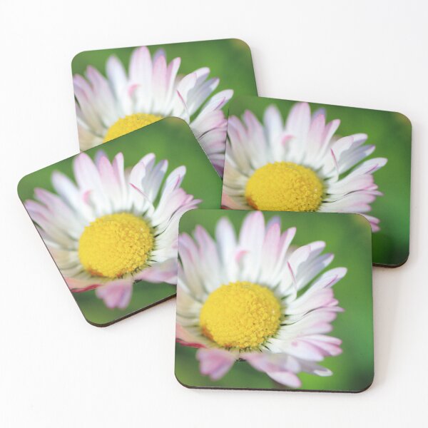 Item preview, Common daisy slightly closed designed and sold by Grégory DUBUS.