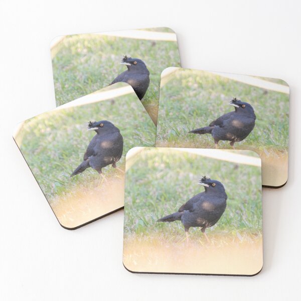 Item preview, Crested Myna designed and sold by LaurenTucker.