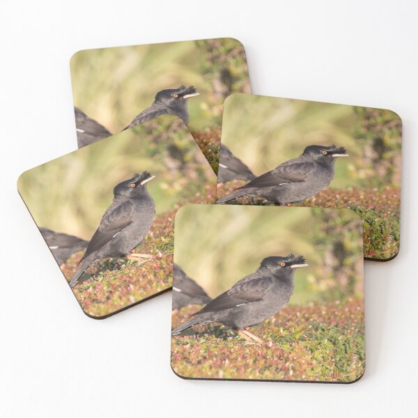 Item preview, Crested Myna designed and sold by LaurenTucker.