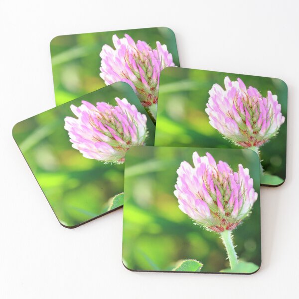 Item preview, Red clover flower trifolium pratense designed and sold by Grégory DUBUS.