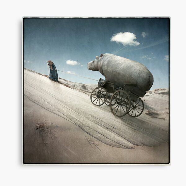 Possessions Canvas Print